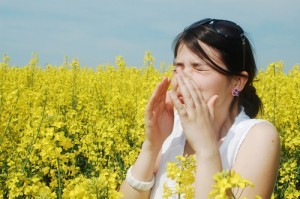 What Does My Hay Fever Have To Do With My Gut?
