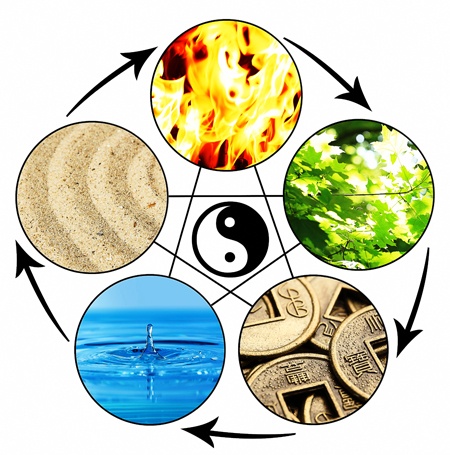 Your Metal Element 2015: Immune System Suppport